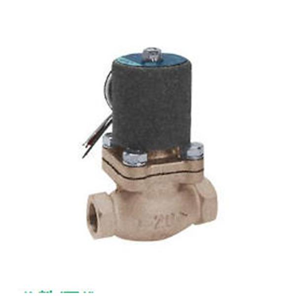 CKD喜開(kāi)理水用先導(dǎo)突跳式2通電磁閥PKW-10-27-C-3N-AC100V